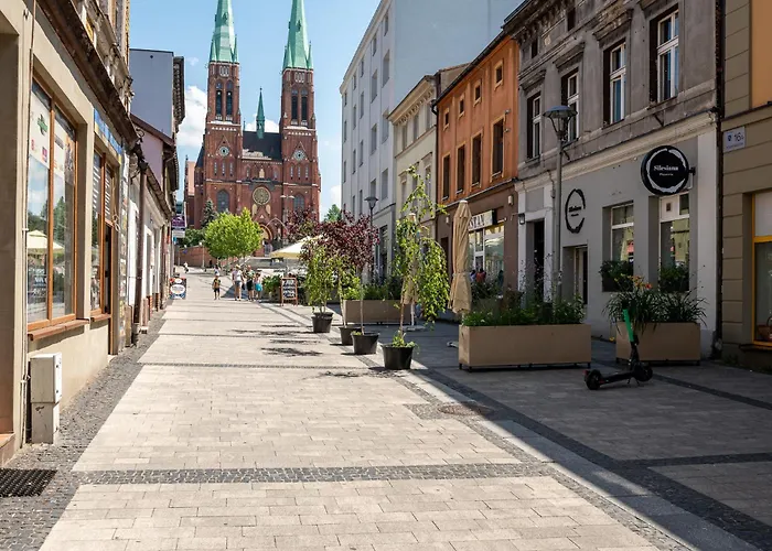 Platinum 4 ريبنيك